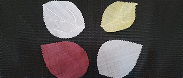 체험 프로그램1 이미지1