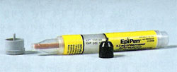 에피네프린 자동주사기