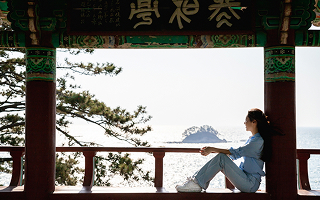 마량리 동백나무숲